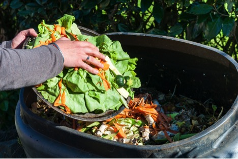 food waste